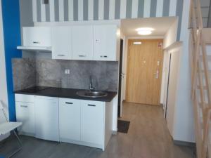 Apartament przy lotnisku z antresolą 17
