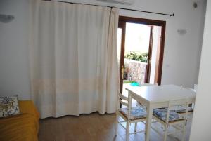 Il riccio di mare img5