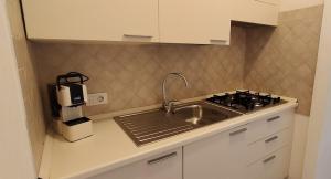 Il riccio di mare img8