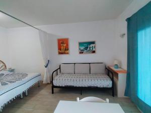 Il riccio di mare img15