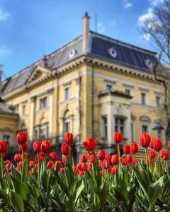 Apartment in the heart of Sofia