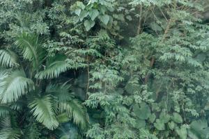 MANANI - Vacation STAY 16628v