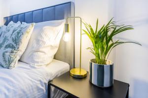 Orzeszkowa Residence 6 - Kazimierz, Old Town, Krakow