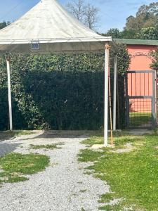 Camera graziosa