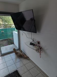 Vallarta Confort Rental