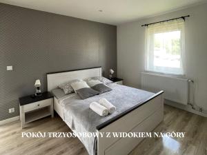 Michałówka Pokoje i Domki