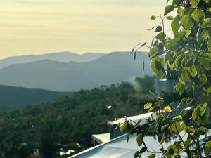 Corner Loft - Views, Pool, Hot Tubs, Sauna, Hiking