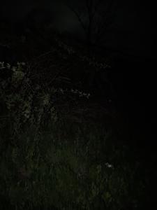 Apartamento Juncano