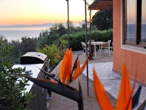 Villa Elba Mare & Relax Capoliveri