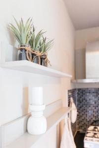 Appartement bij duin & strand