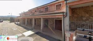 Il riccio di mare img19