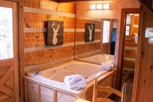 Copeland Creek- Tiny Cabin