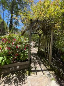 The Black Sheep Inn