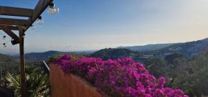Villa Contenta Canyelles