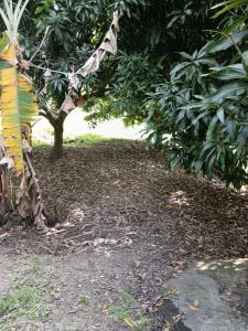 The perfect spot to escape the heat