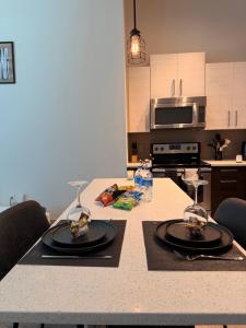 Luxury High Rise Downtown 1BR Apartment