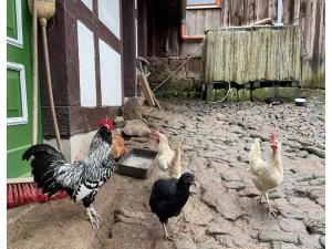 Ferienwohnung im Erholungsort Suhl
