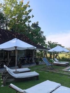 Blauwtuin Yogyakarta