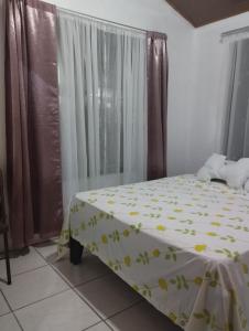 Tortuguero Family House