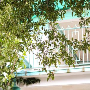 Real Hotel y Alojamientos