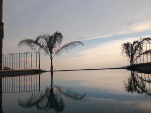 Wellness Petfrendly El Secreto