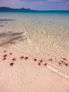 Crystal Apartment Hillside Phu Quoc - Sunset Town & Firework