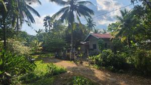 Palm Leaf Hideout Quezon
