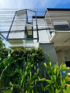 Sunday House 10 min Nimman