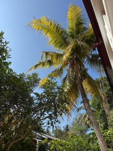 Kalutara Treehouse Pool Villa!