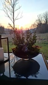 Bliżej Lasu - Rodzinny domek w górach