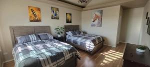 Cabañas Privadas San Carlos Escape & Relax