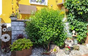 Lassan, Ferienwohnung zum Peenestrom