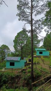 Rohini Village Homestay
