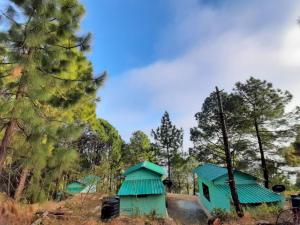 Rohini Village Homestay