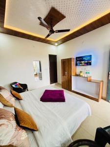 Oliva by Quercus Oak Stays