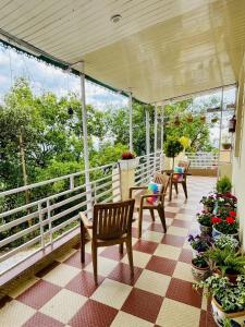 Oliva by Quercus Oak Stays