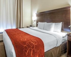 Comfort Suites Marietta-Parkersburg