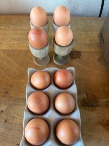 Domaine COLONNA SANTINI ,Chambre d hôtes Piscine, Spa