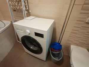 Arboretum Garden Studio