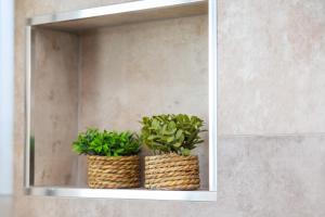 Bynos Central with pool img12