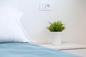 Bynos Central with pool img48