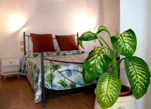 Flowery Inn Villa img58