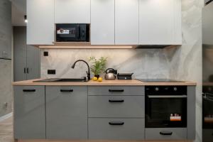 Modern Apartment with Parking and Balcony by Noclegi Renters