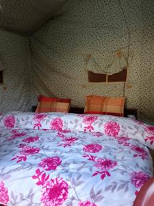 River View Cafe & Camping