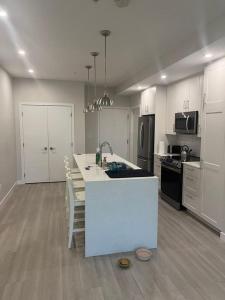Olivias properties