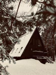 RAAMI apartments in the forest