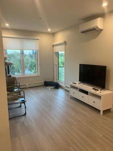 Olivias properties