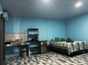 Fortuna Central Studio