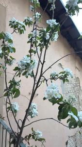 Il balconcino del centro storico