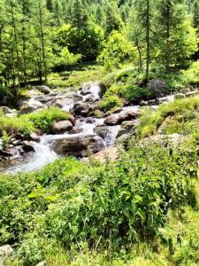 Grazioso appartamento in montagna